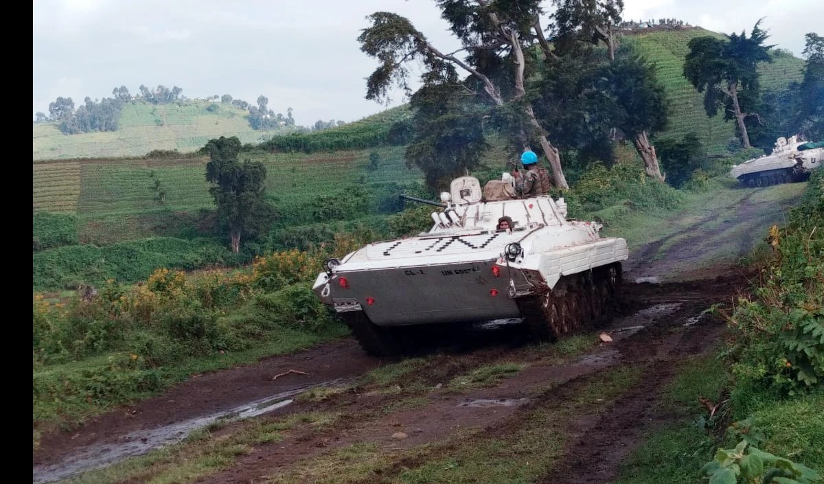 773 killed in action against Rwanda -backed rebels: Congo