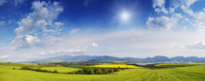 Nature Background 20