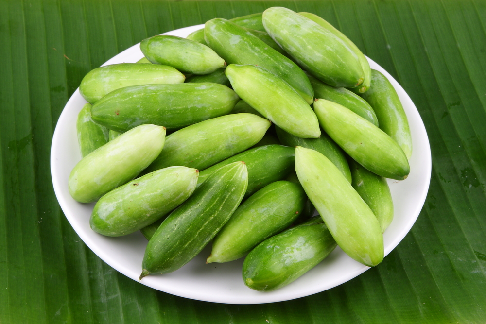 Ivy gourd