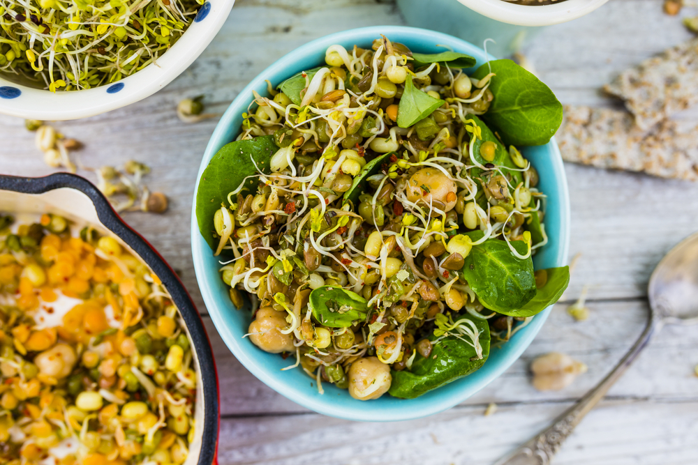Sprouted grain