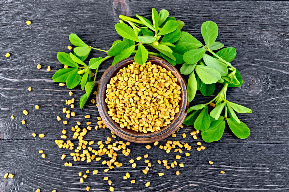 Fenugreek