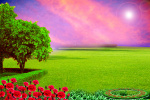 Wedding-Photo-Frame-Background-1057-copy.jpg